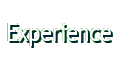 Experience