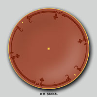 Plate with Islamic design and Arabic calligraphy